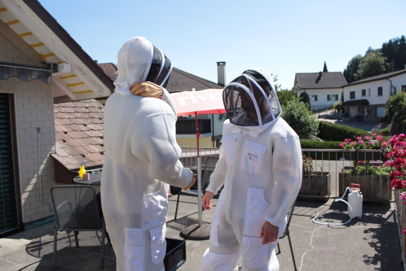 Deux experts Kammerjaeger &agrave; Is&eacute;rables portent des combinaisons de protection blanches pour intervenir sur un toit par une journ&eacute;e ensoleill&eacute;e.